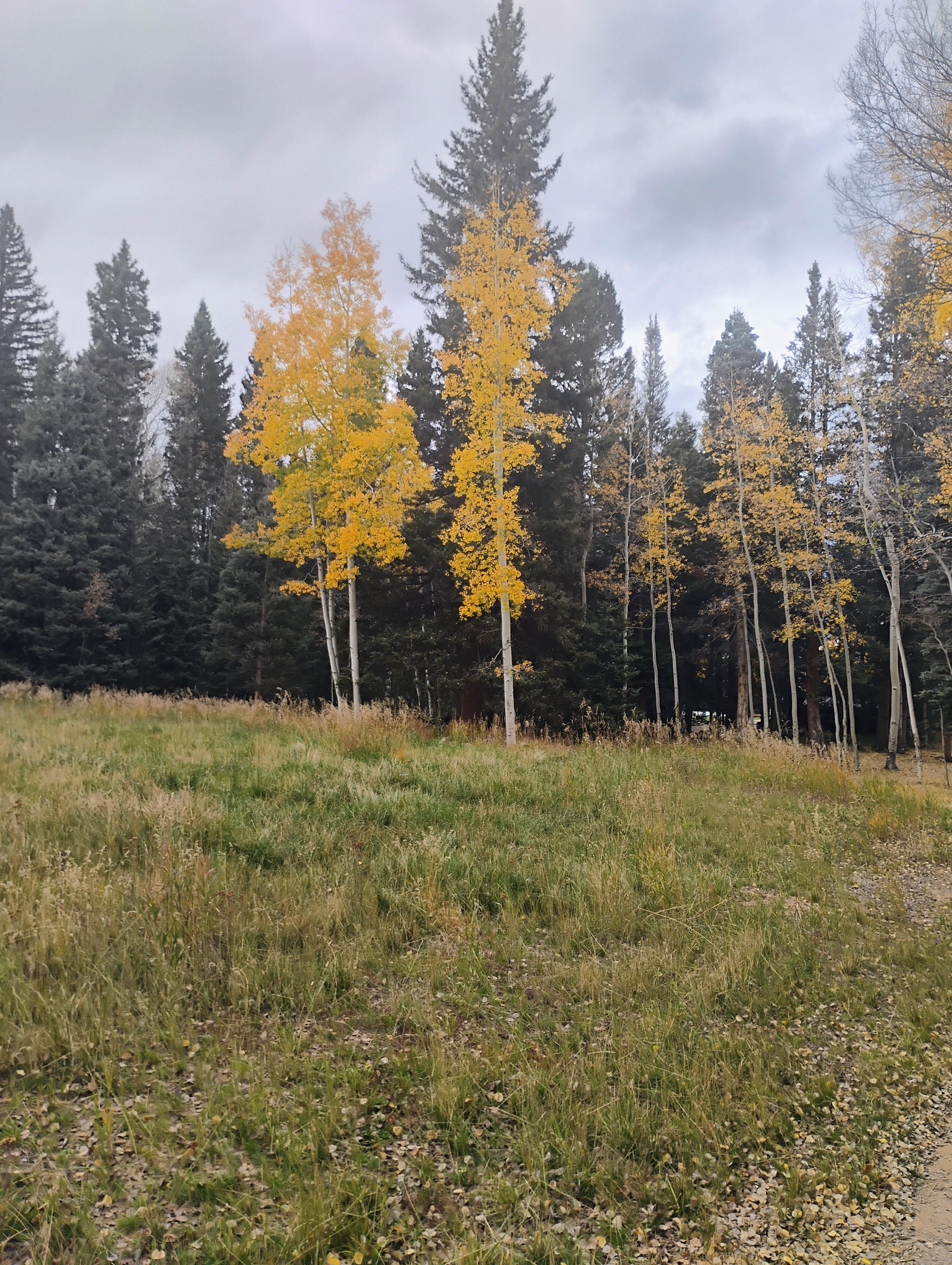 Not your typical view from most hotels.