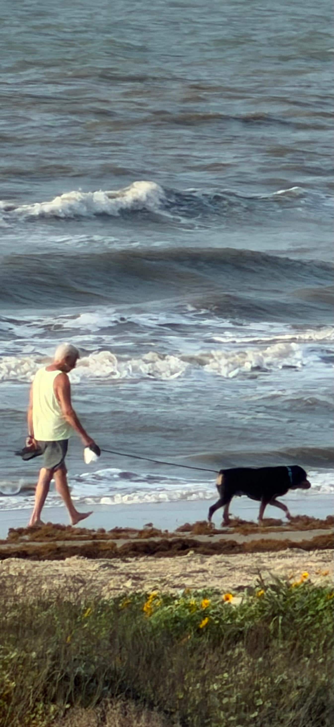 Close to beach