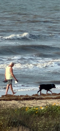 Close to beach
