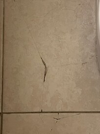 Bathroom tile.