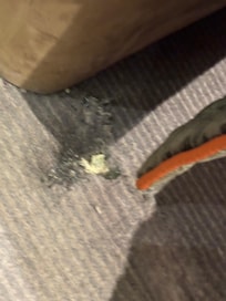 Holes in carpet everywhere