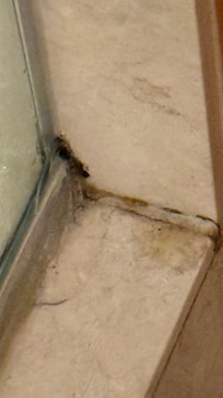 Mold in corners of the shower