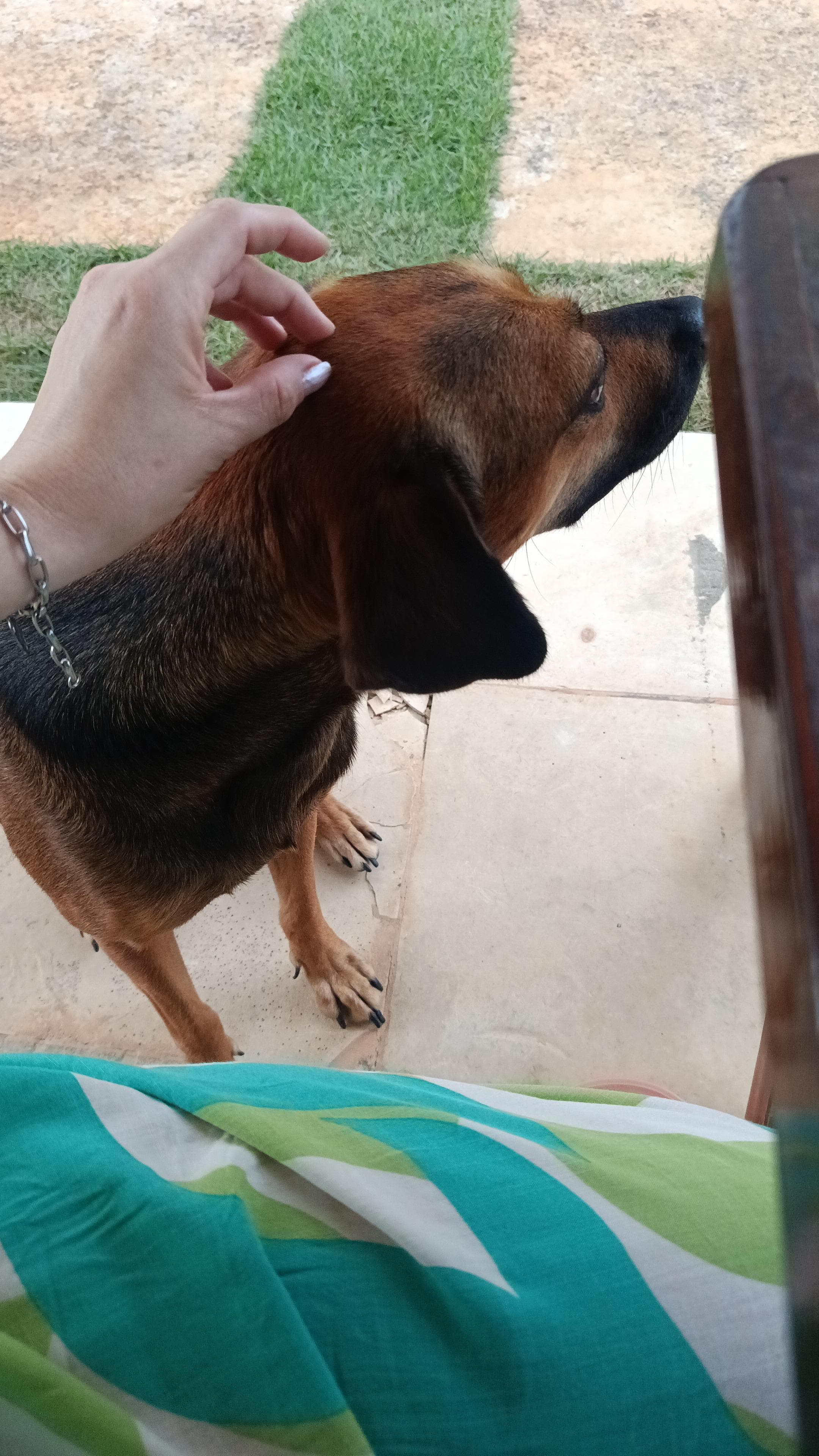 Bela super dócil, uma princesa amei conhecer ela.