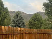 View from backyard