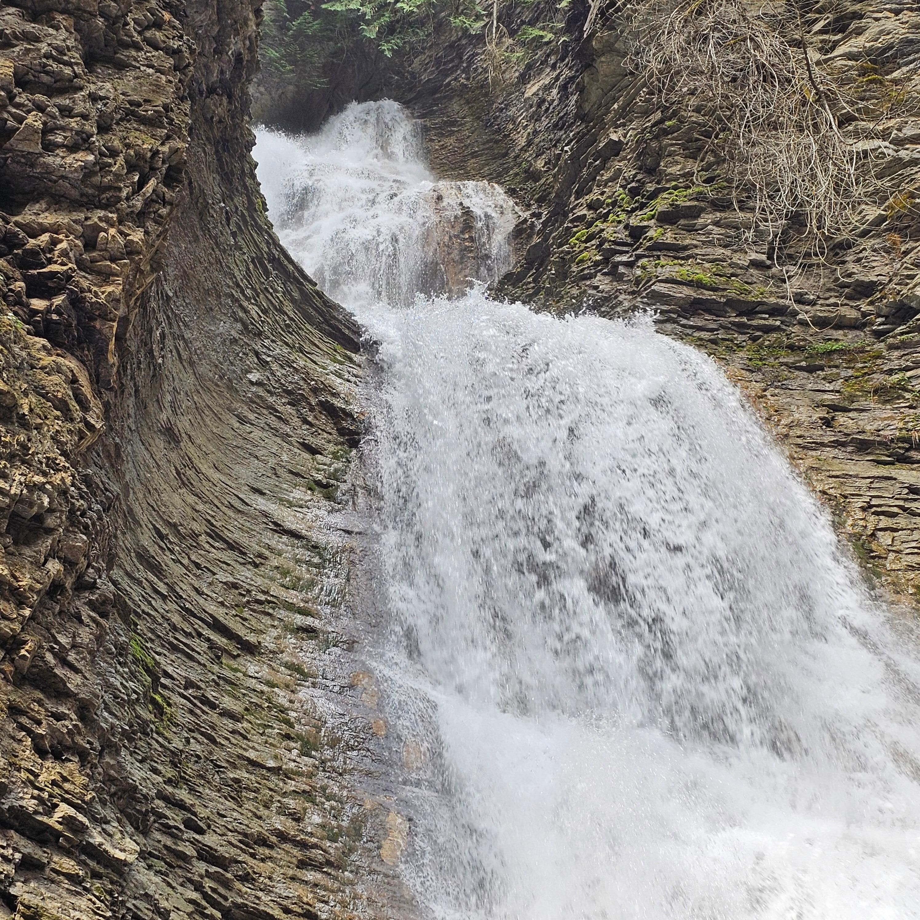Margaret Falls 