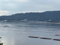 静かな海で、牡蠣のイカダが目の前に。