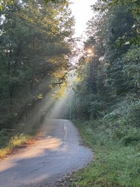 The drive in was just gorgeous. Most of the roads around the property look like this.
