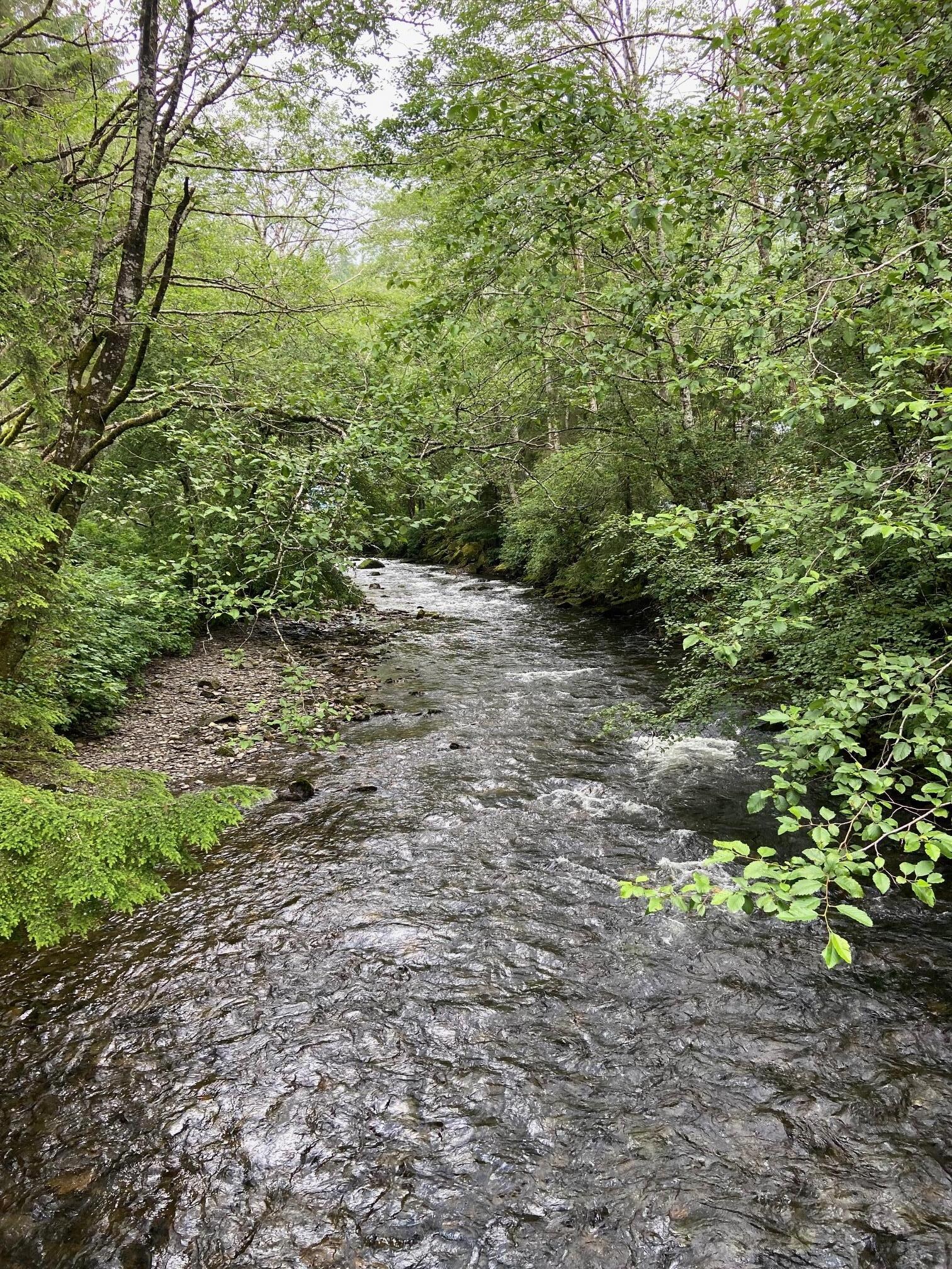 Ketchikan Creek