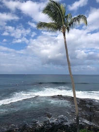 A few of the brave souls riding the waves (view from our unit’s balcony)