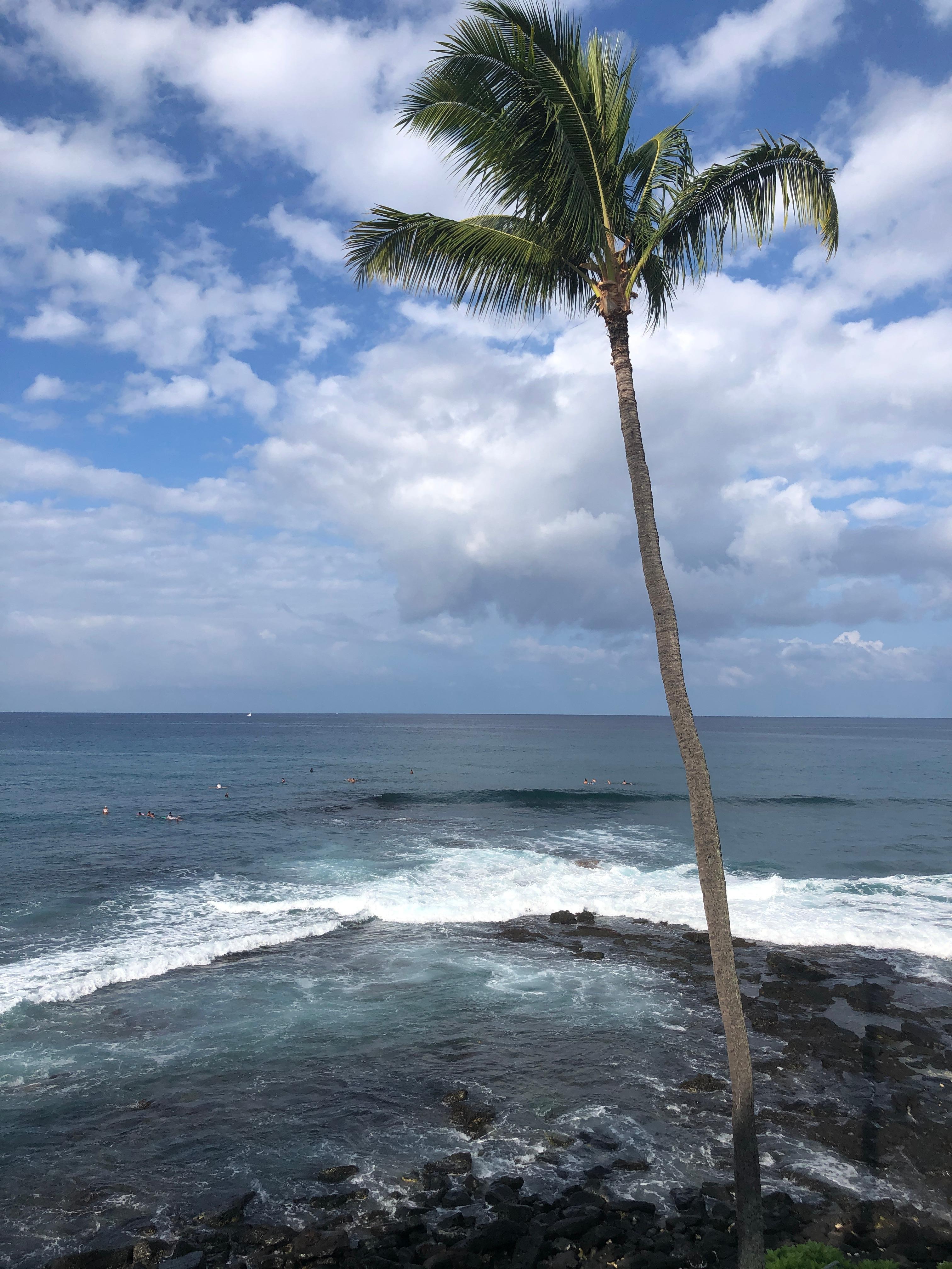 A few of the brave souls riding the waves (view from our unit’s balcony)