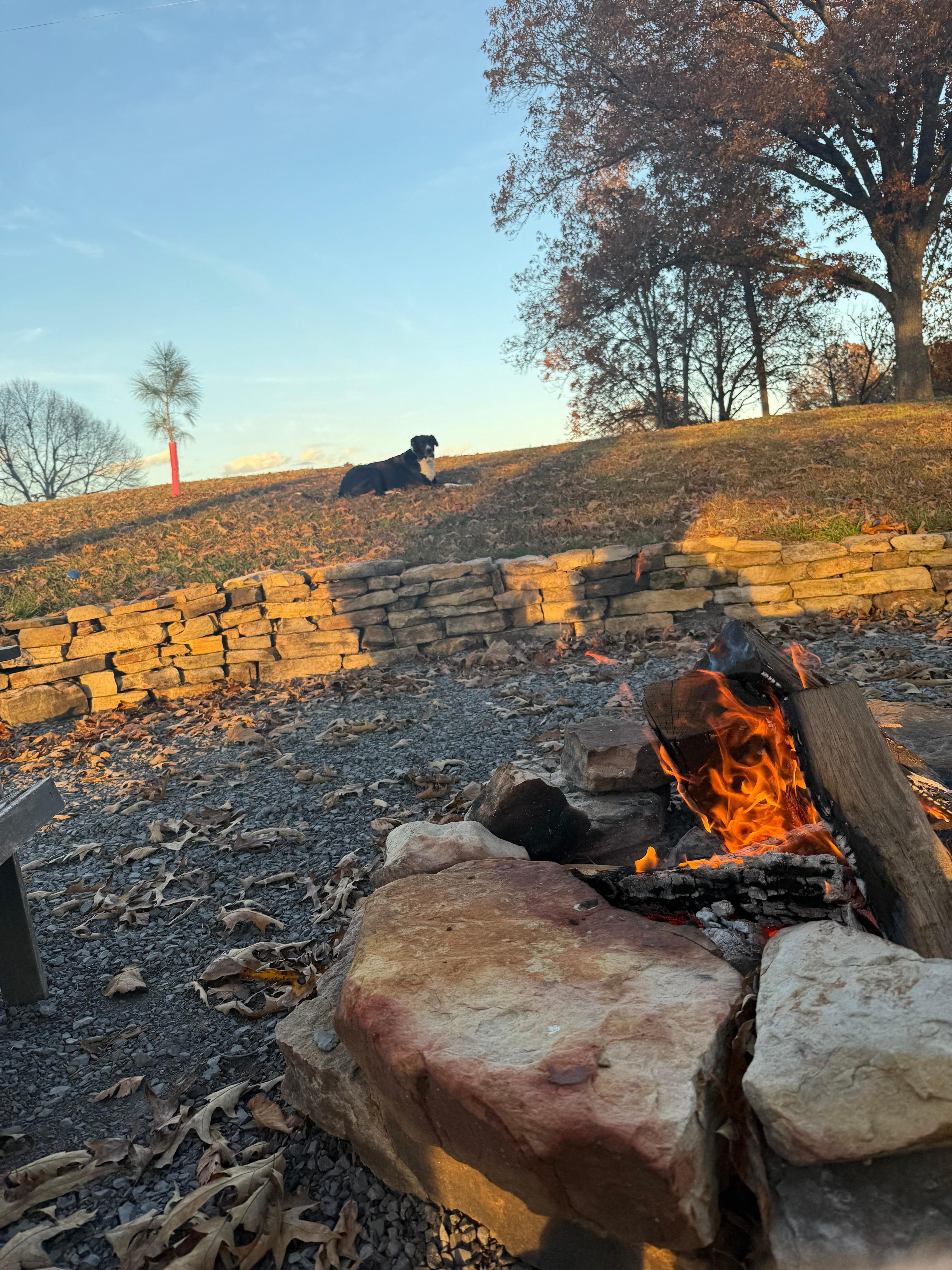 Relaxing by the fire pit . 