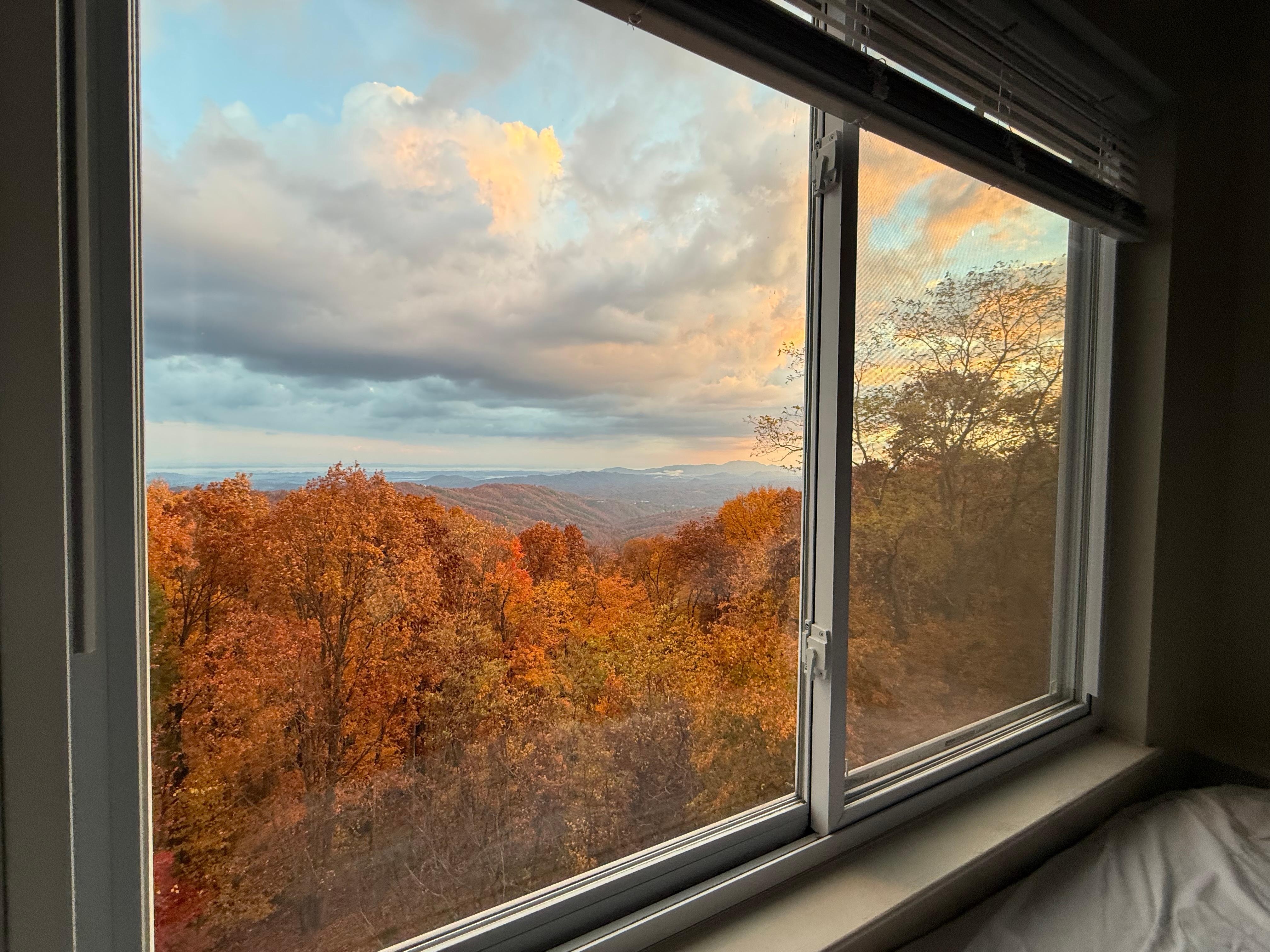 View from the day bed downstairs.