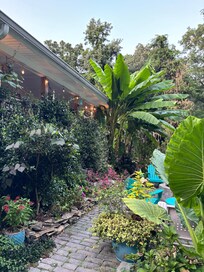 This was out by the outside patio with a waterfall and burning pit (not seen in photo)