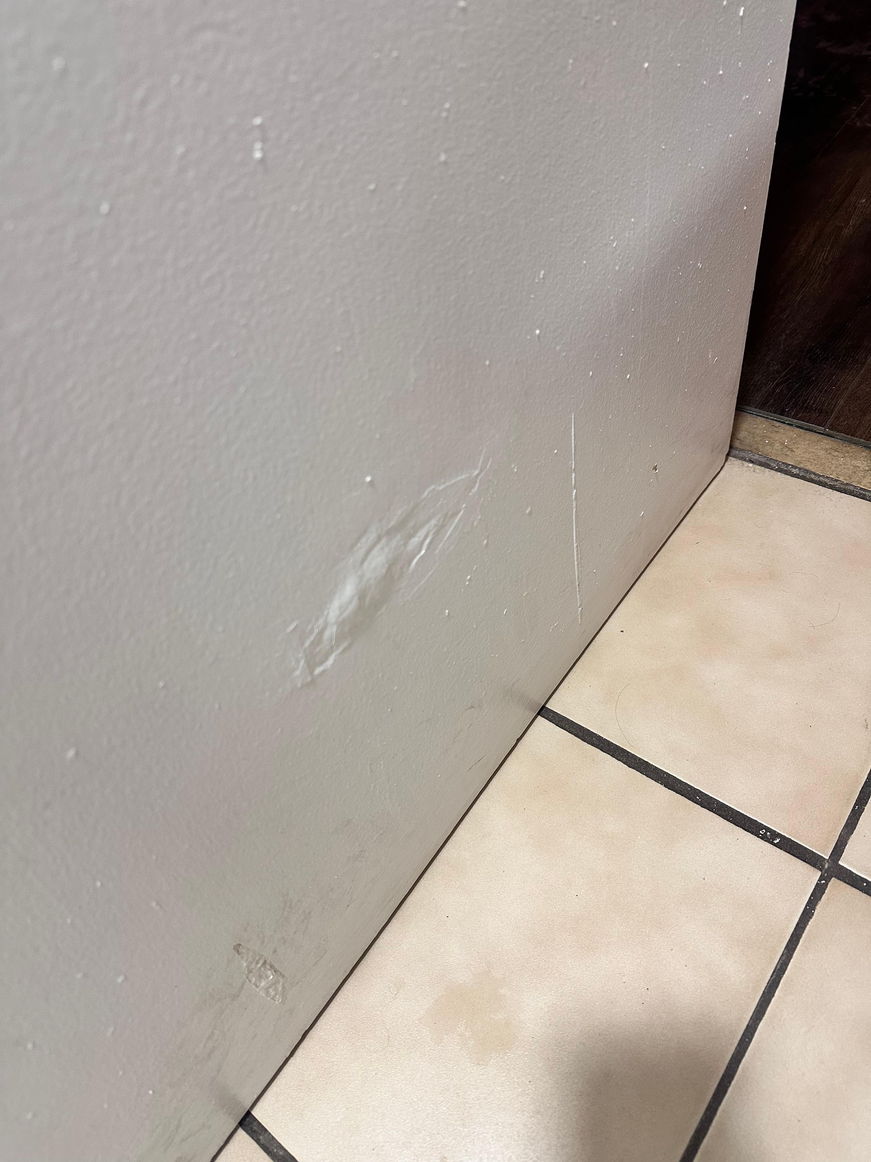 Bathroom door needs to be replaced  