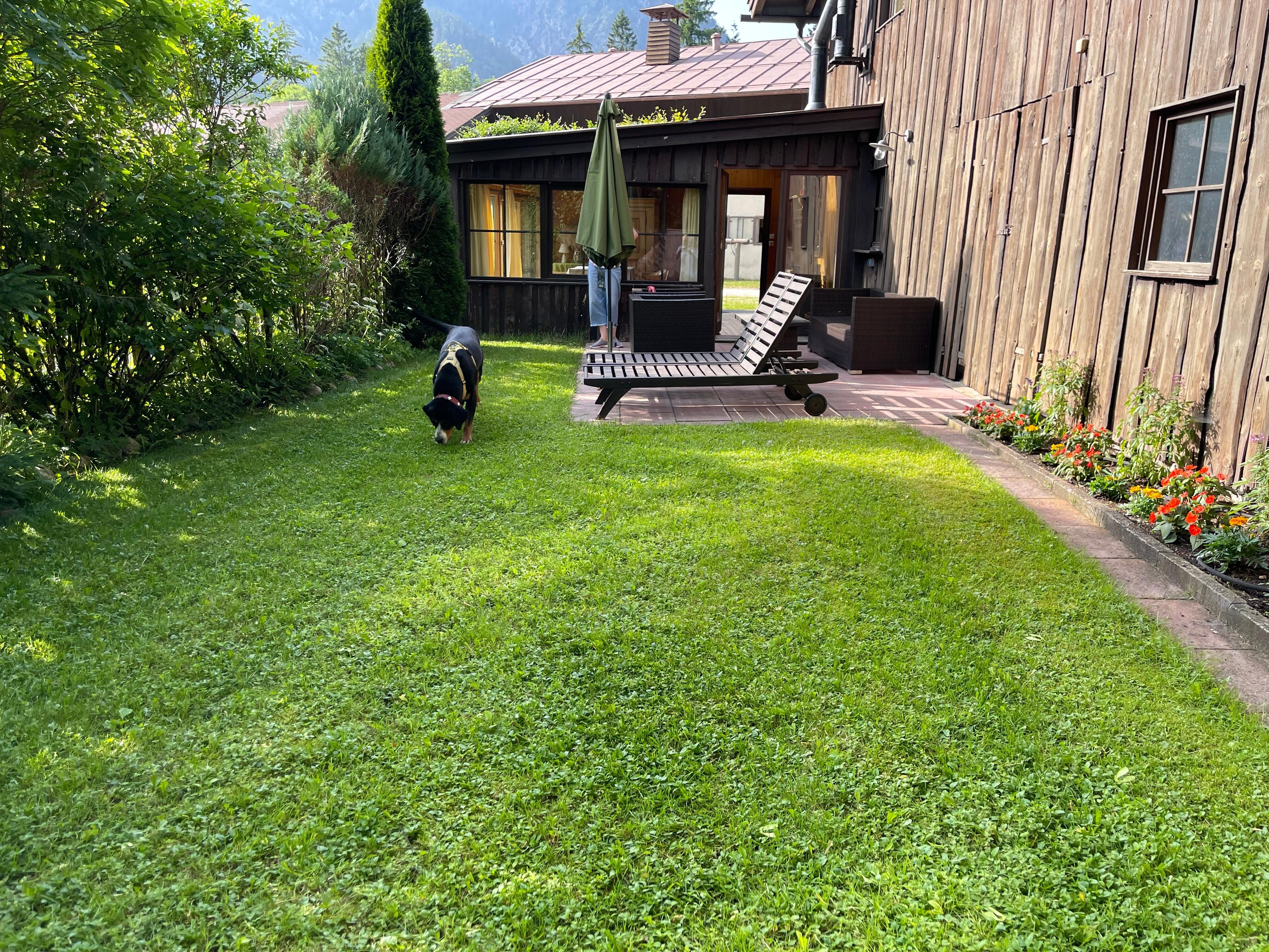 Garten