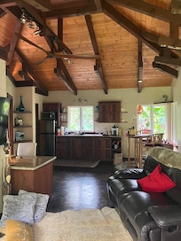 Living room and kitchen