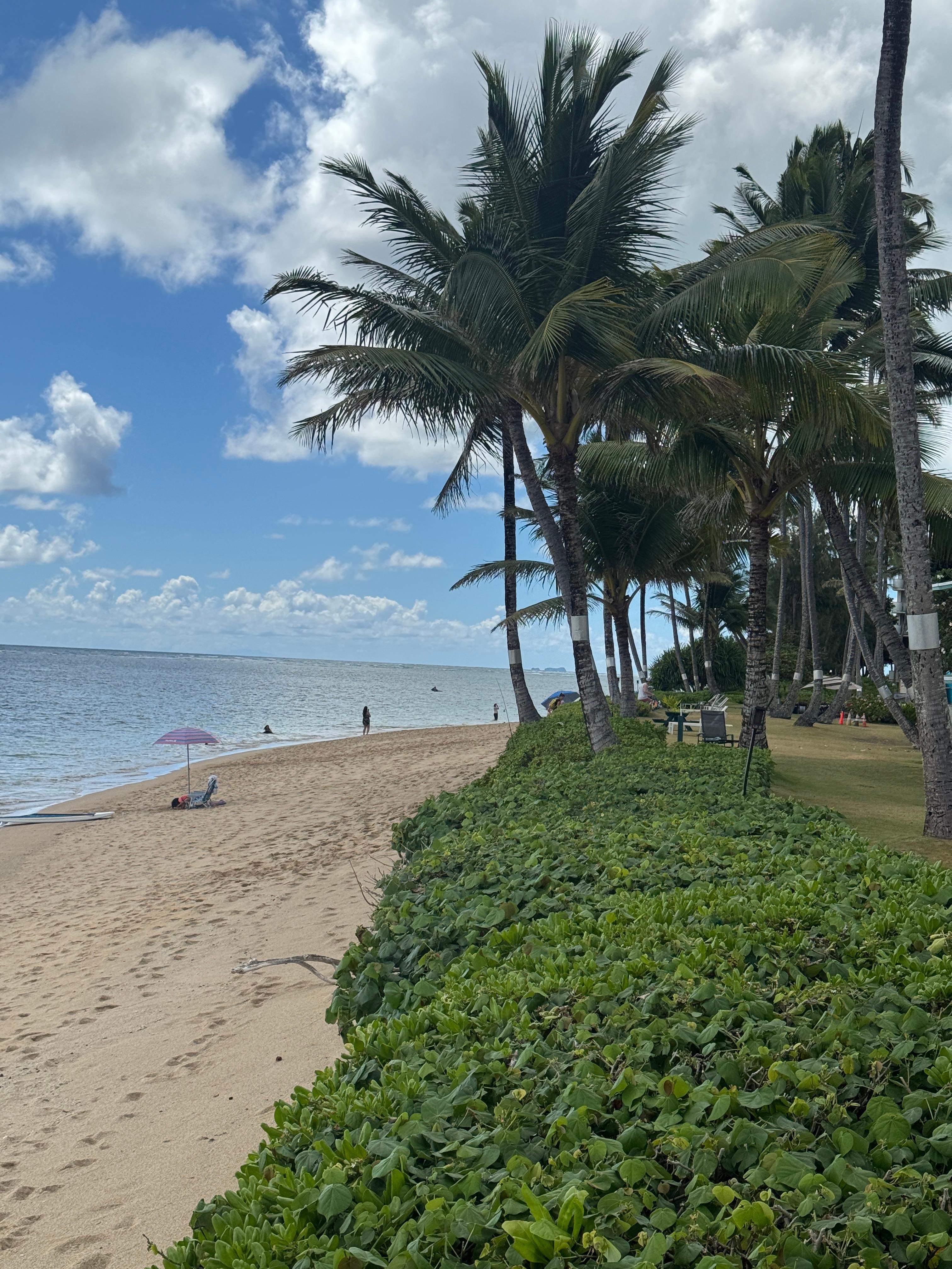 Beach looking towards the windward side