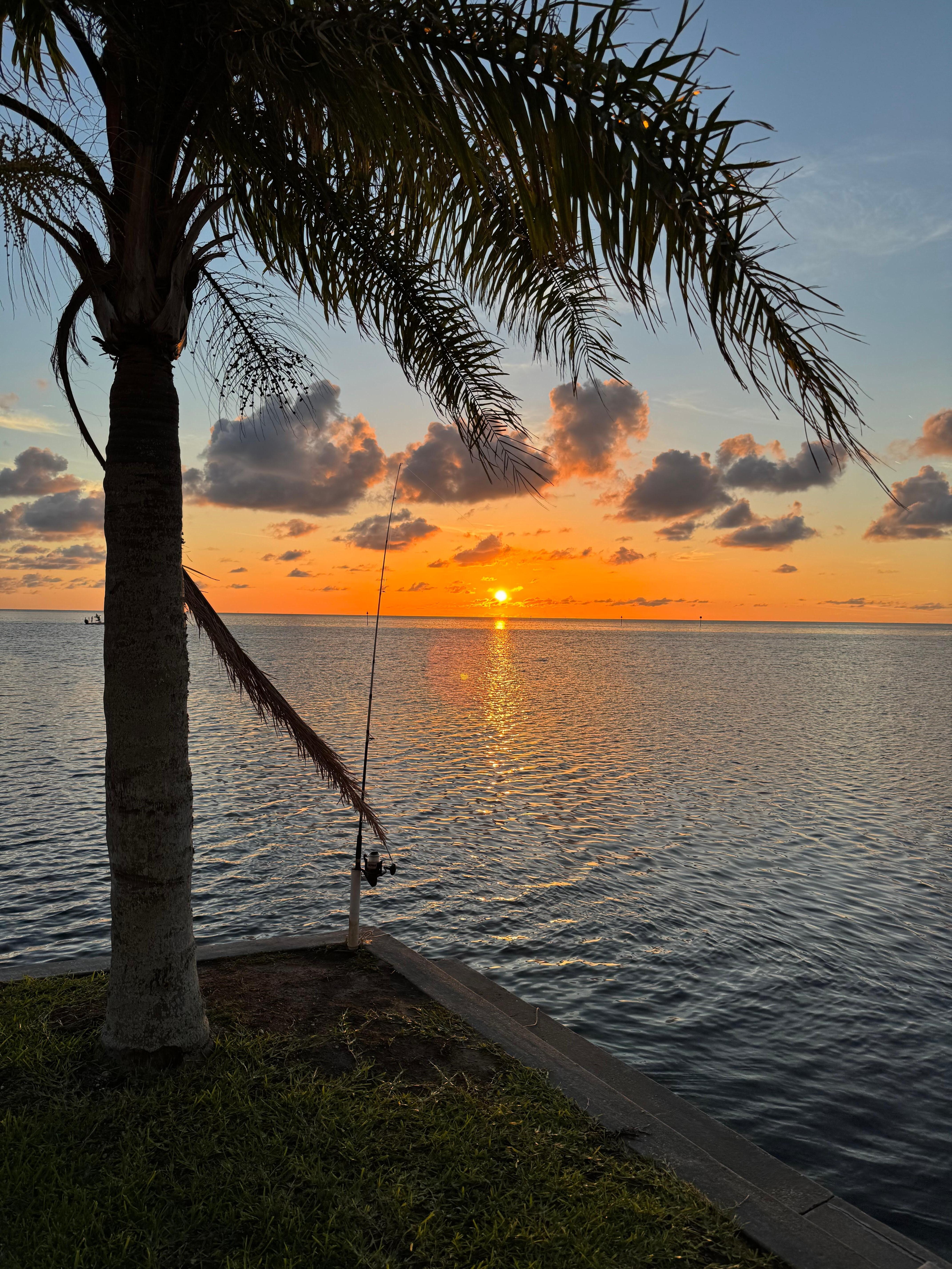 Fishing in the evening