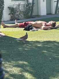 Pour le plaisir des yeux 🤣