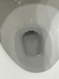 Filthy toilet