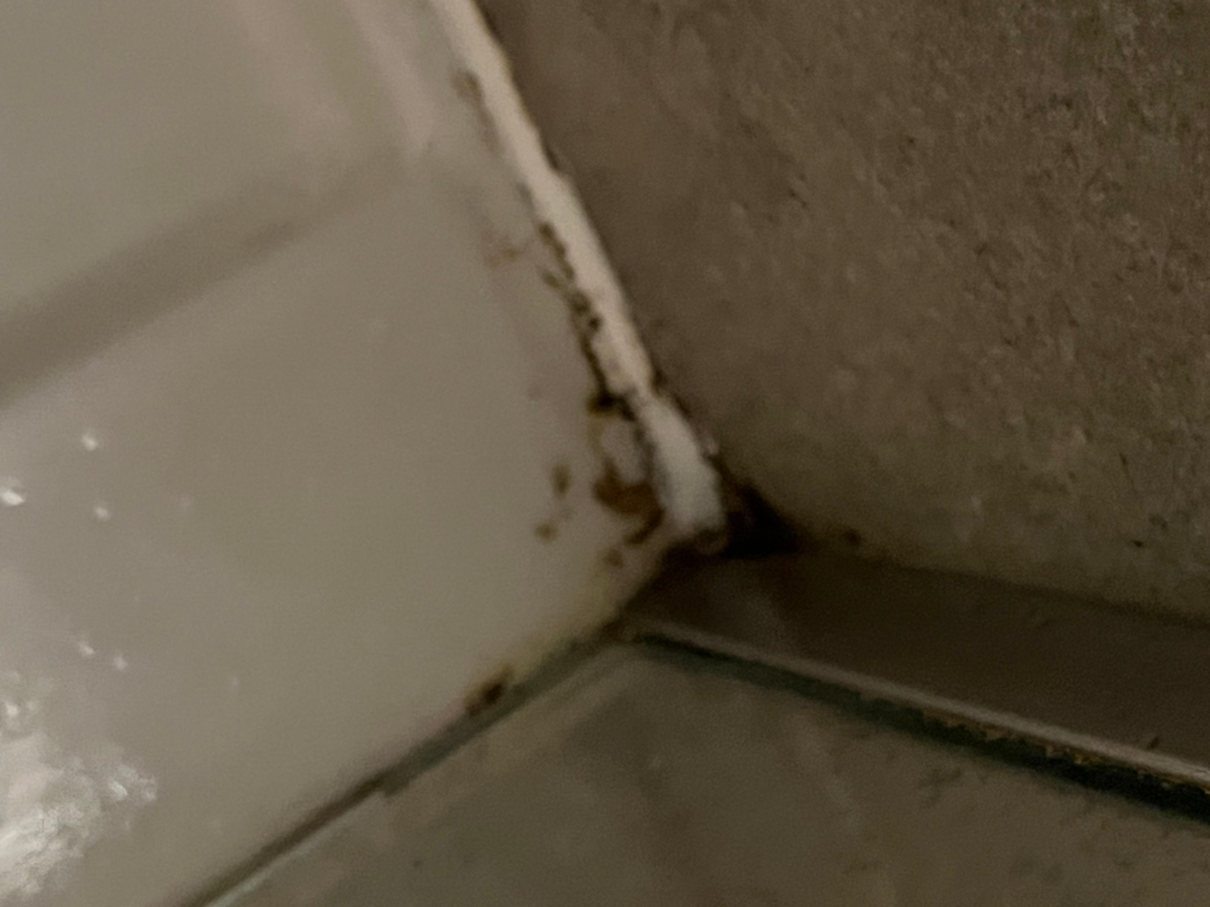 Cleaning a bathroom is a constant thing in our home and I would think a hotel would need more frequent attention.