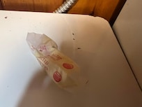 Mice droppings on counter.