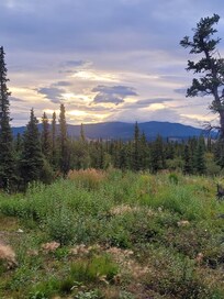 This was our morning view from the porch.