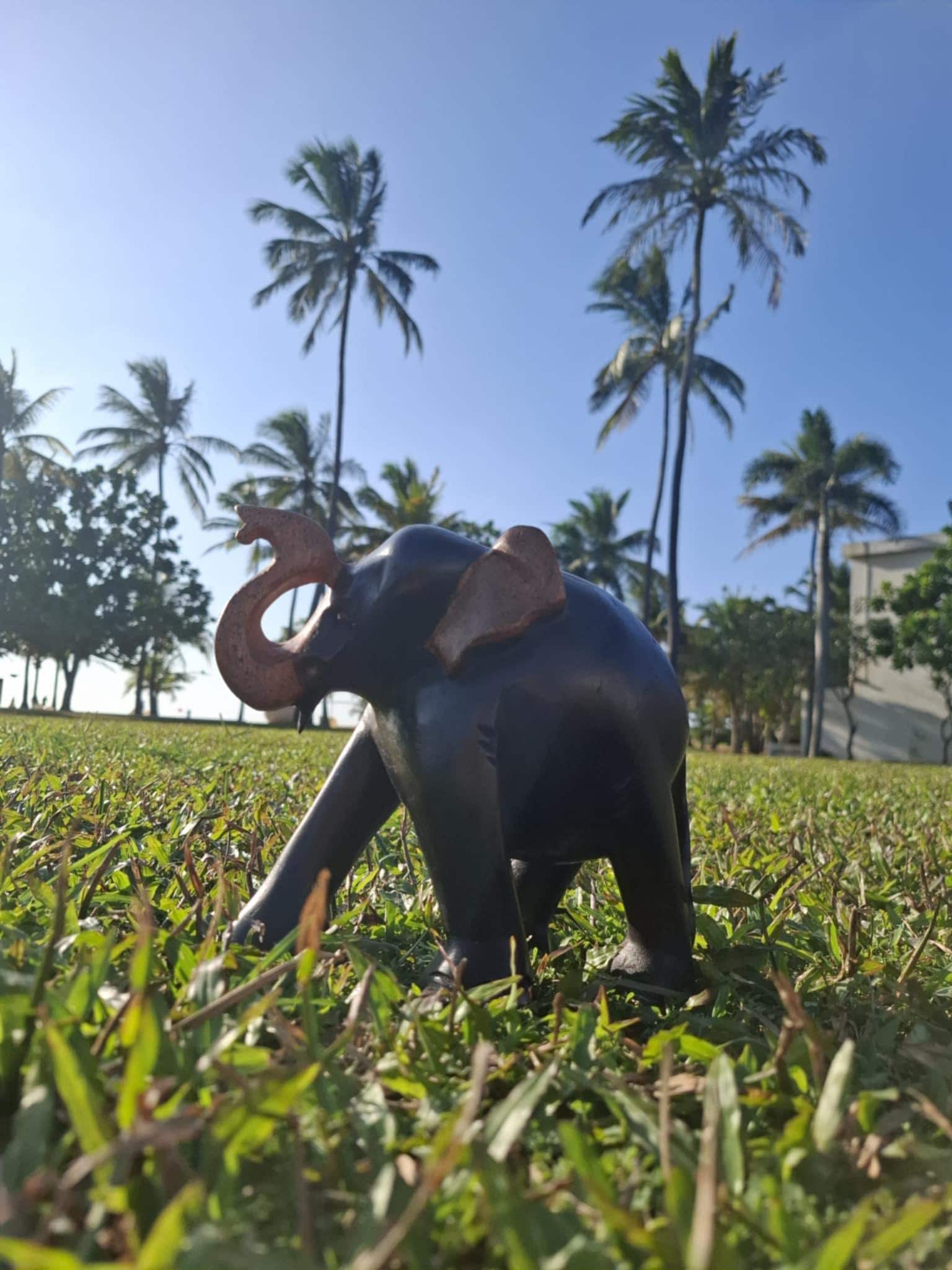 Who doesn't love an elephant.