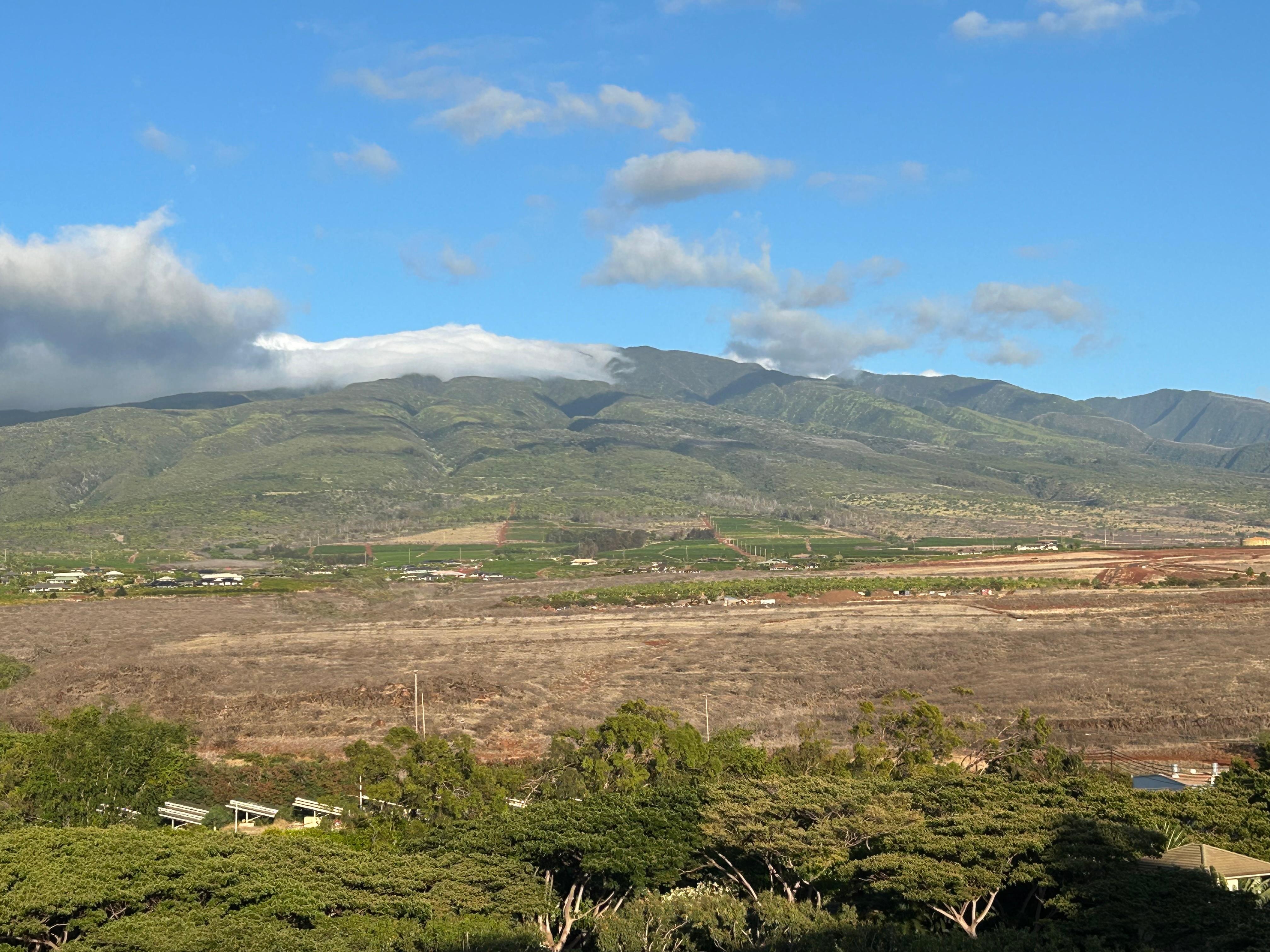 Morning view of the mountains 