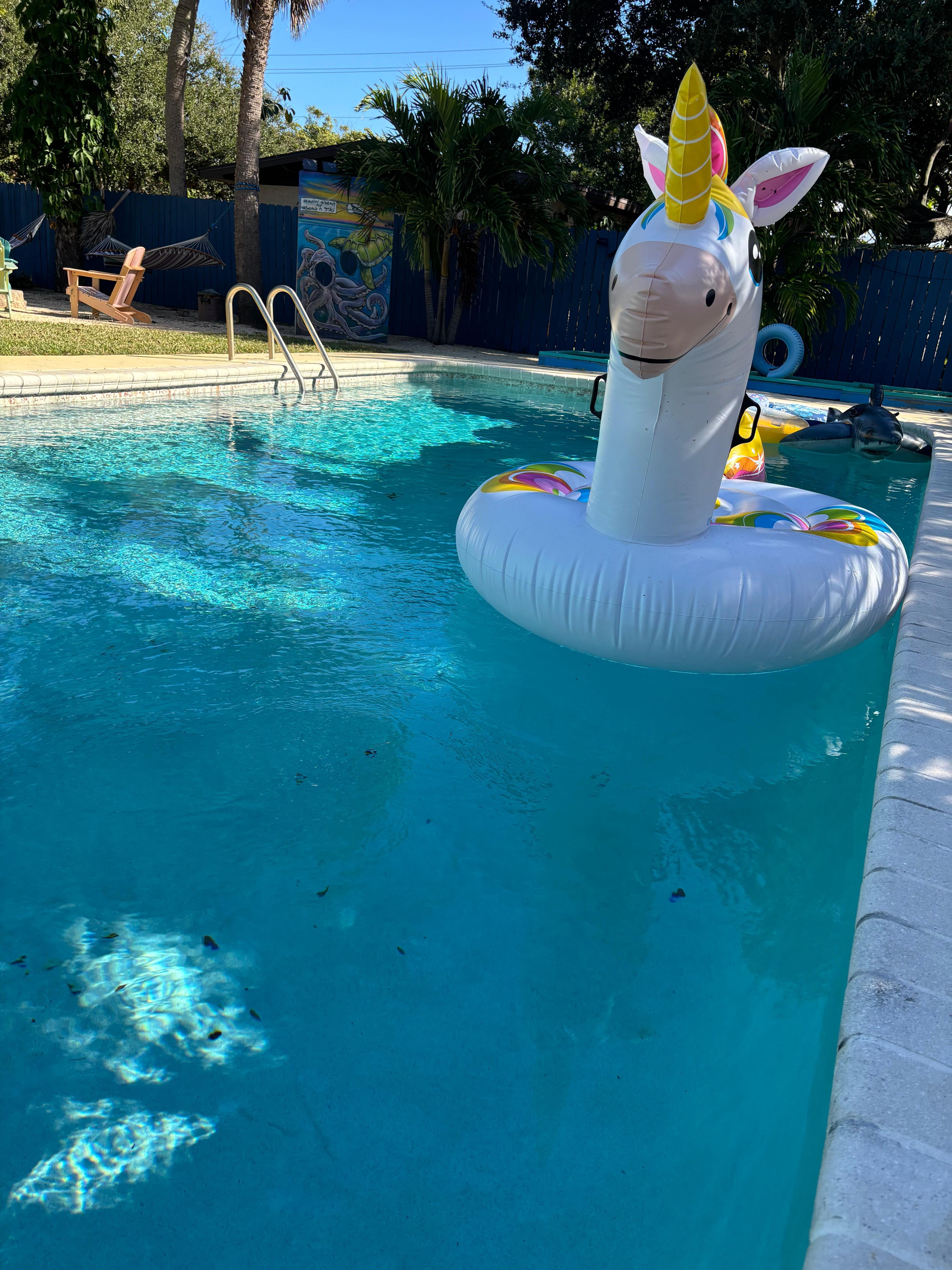 Super fun pool rafts all blown up and ready to play ! 