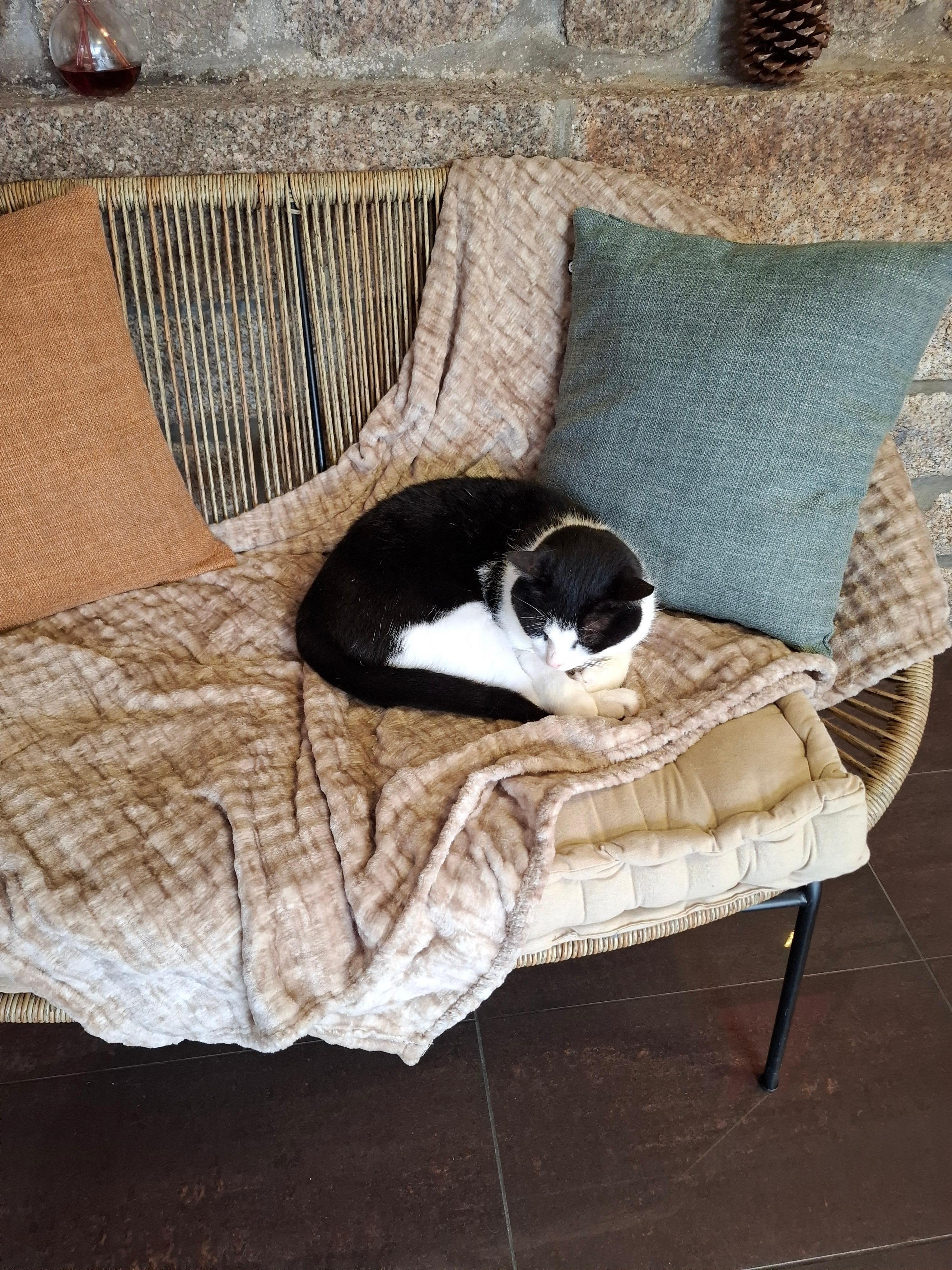 Notre personnel d'accueil