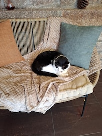 Notre personnel d'accueil