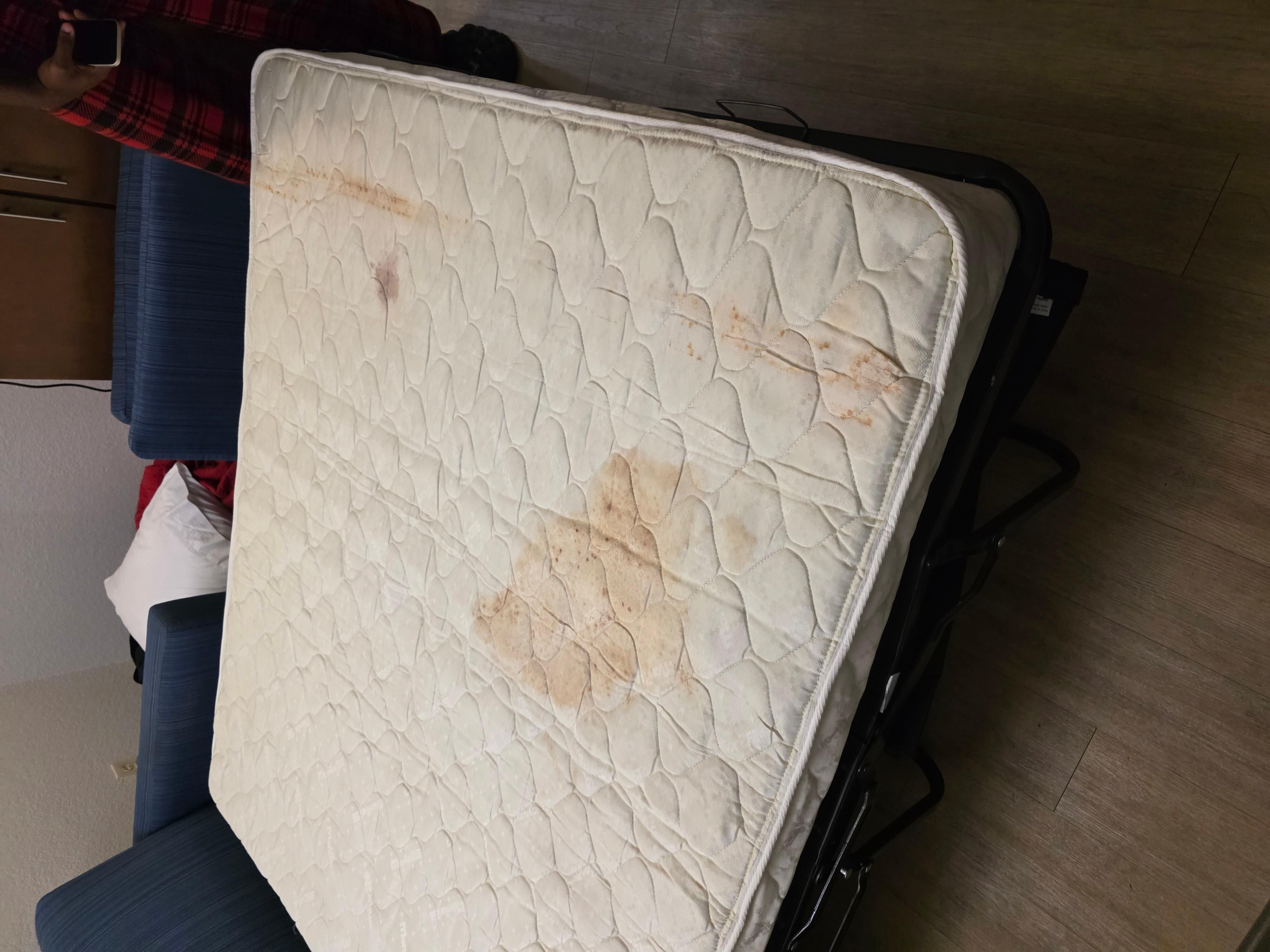 Soda bed