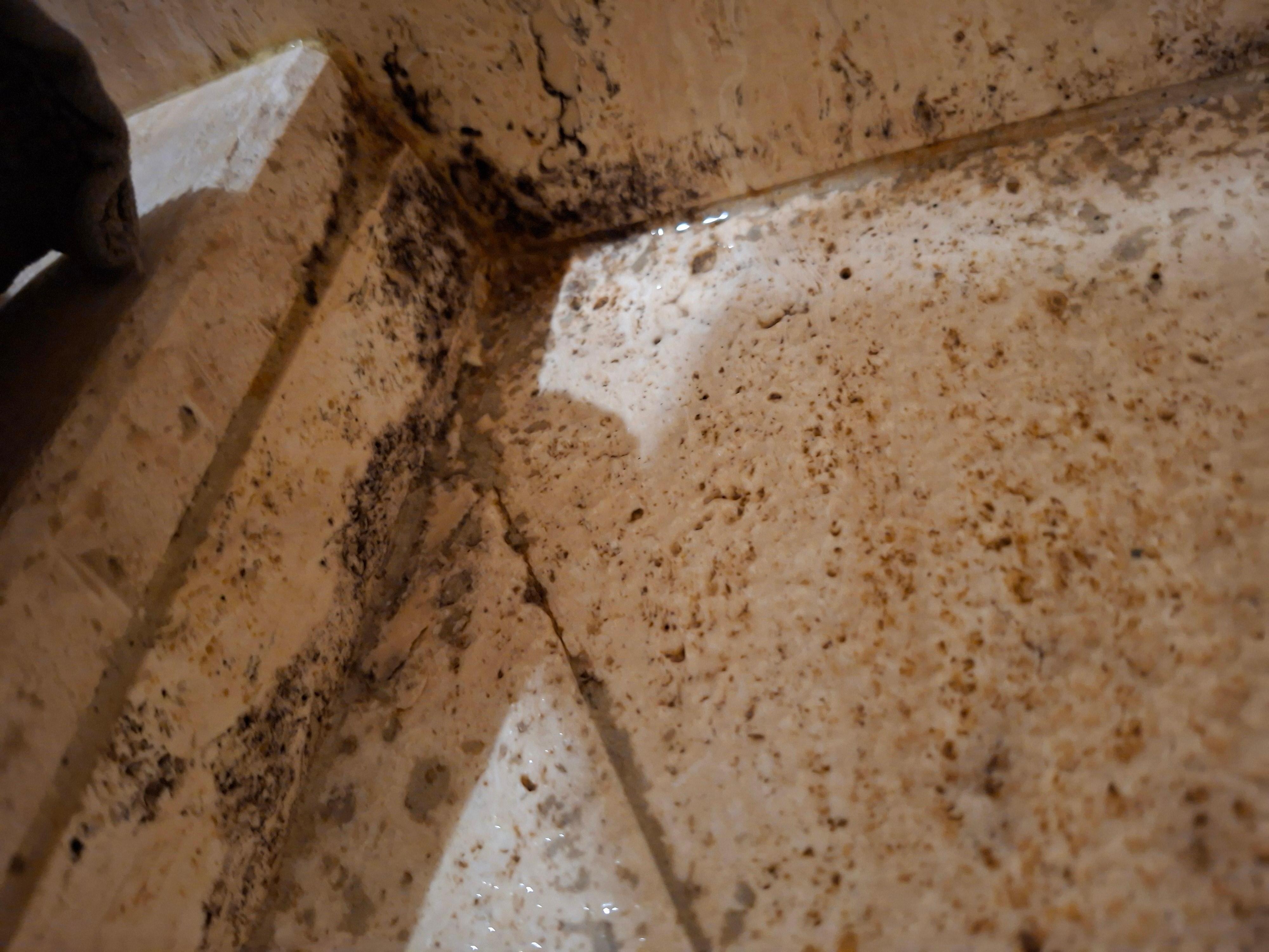 Schwarzer Schimmel Dusche Bad