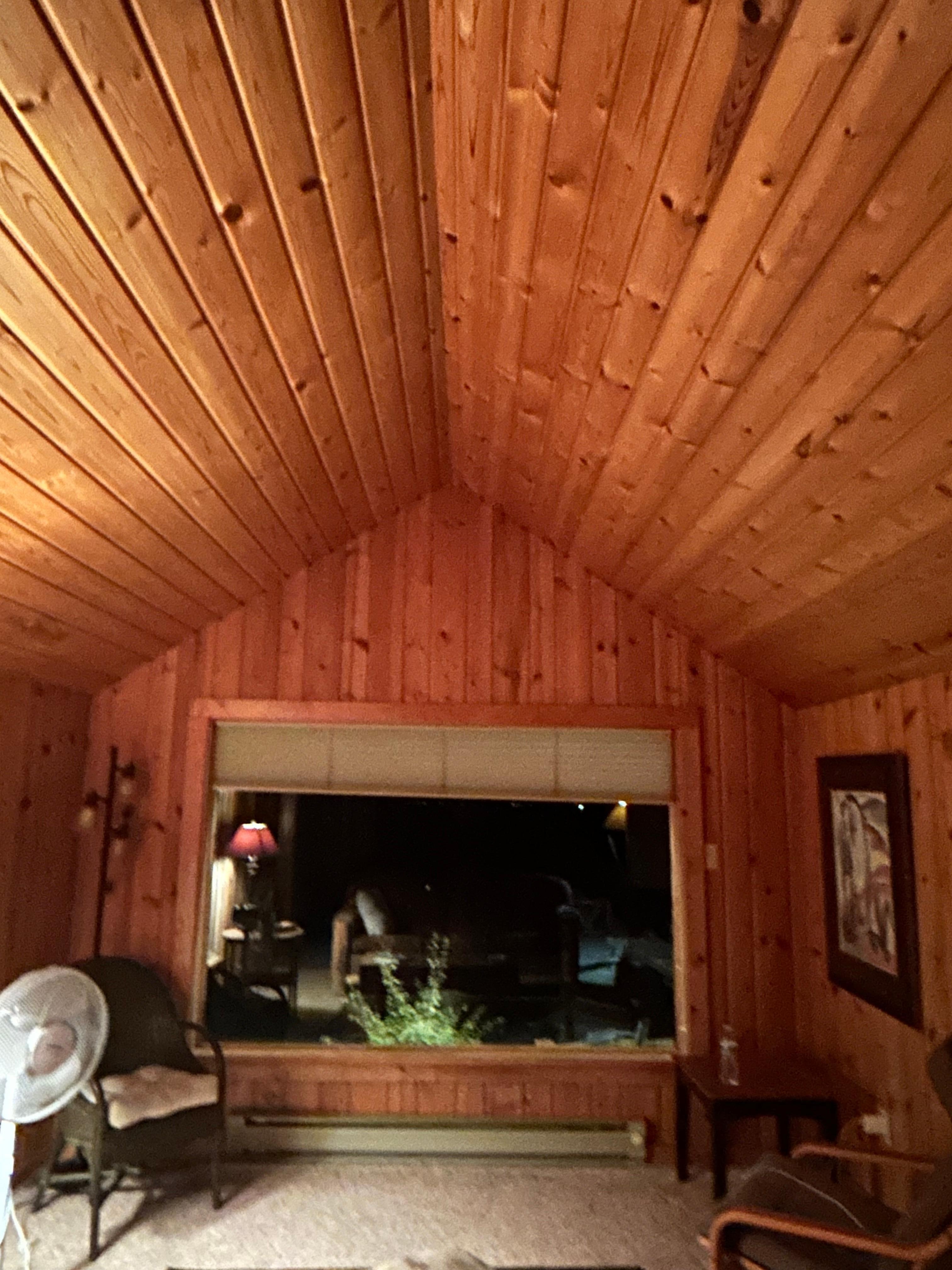 View out the living room.  We saw a red fox with black tips!  