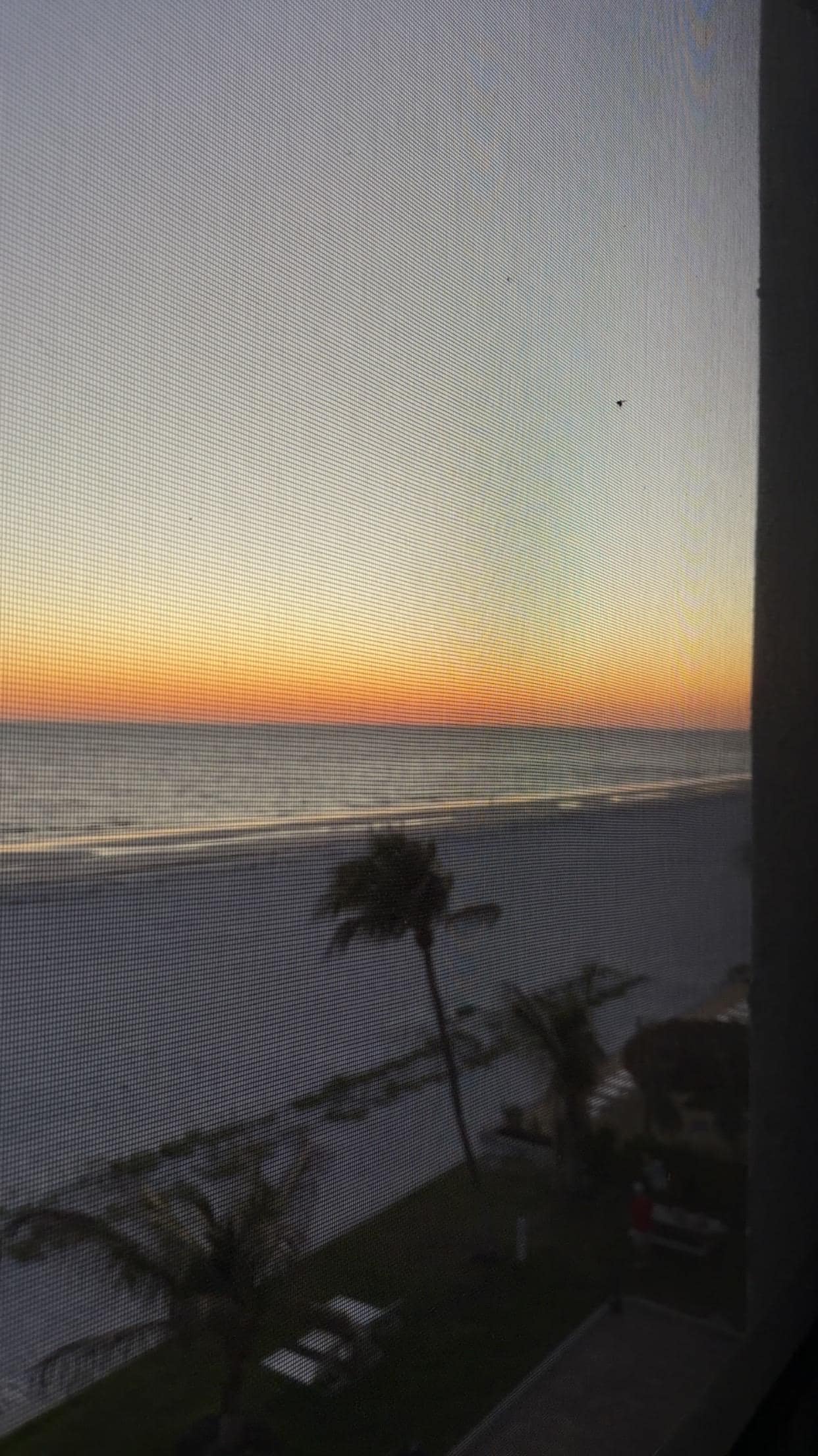 The sunsets are beautiful 