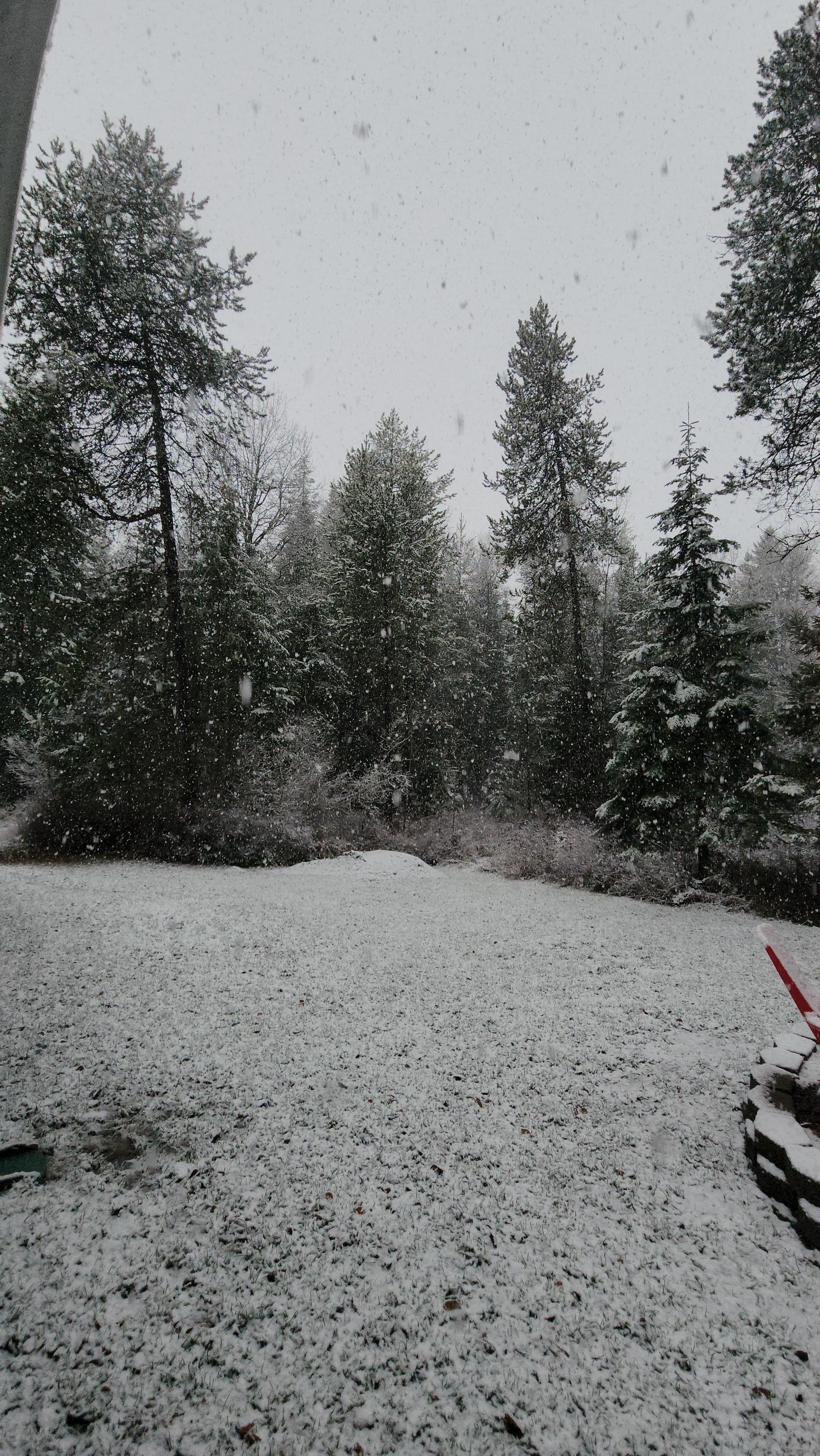 We were lucky enough to get snow ❄️ 