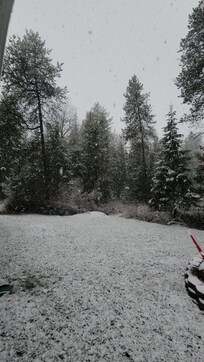 We were lucky enough to get snow ❄️