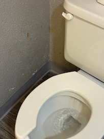 Stains on wall, broken handle, dirty toilet