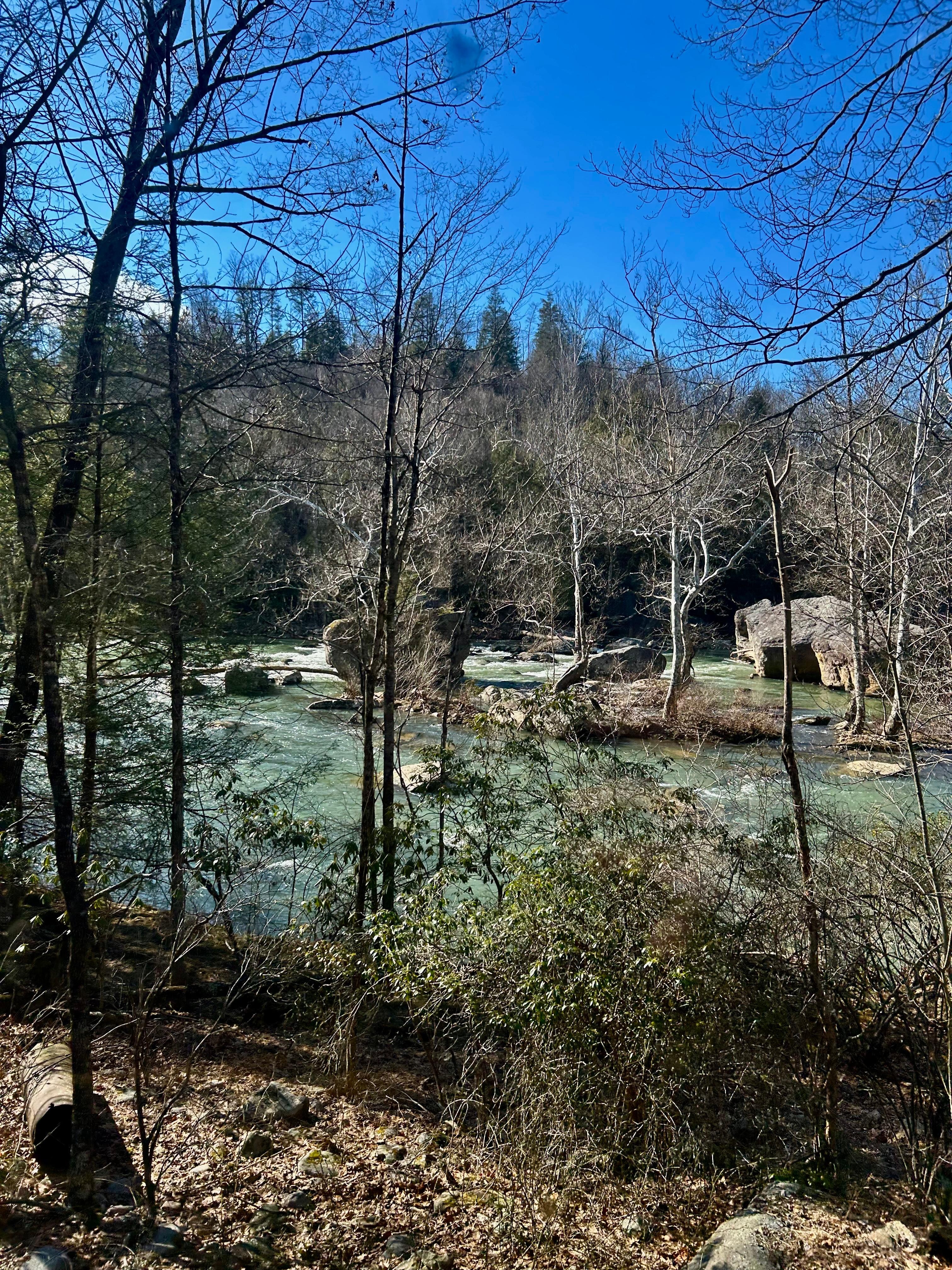 Nova Scotia Rocks along the Tygart Valley River  