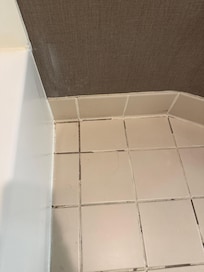 Grout issue