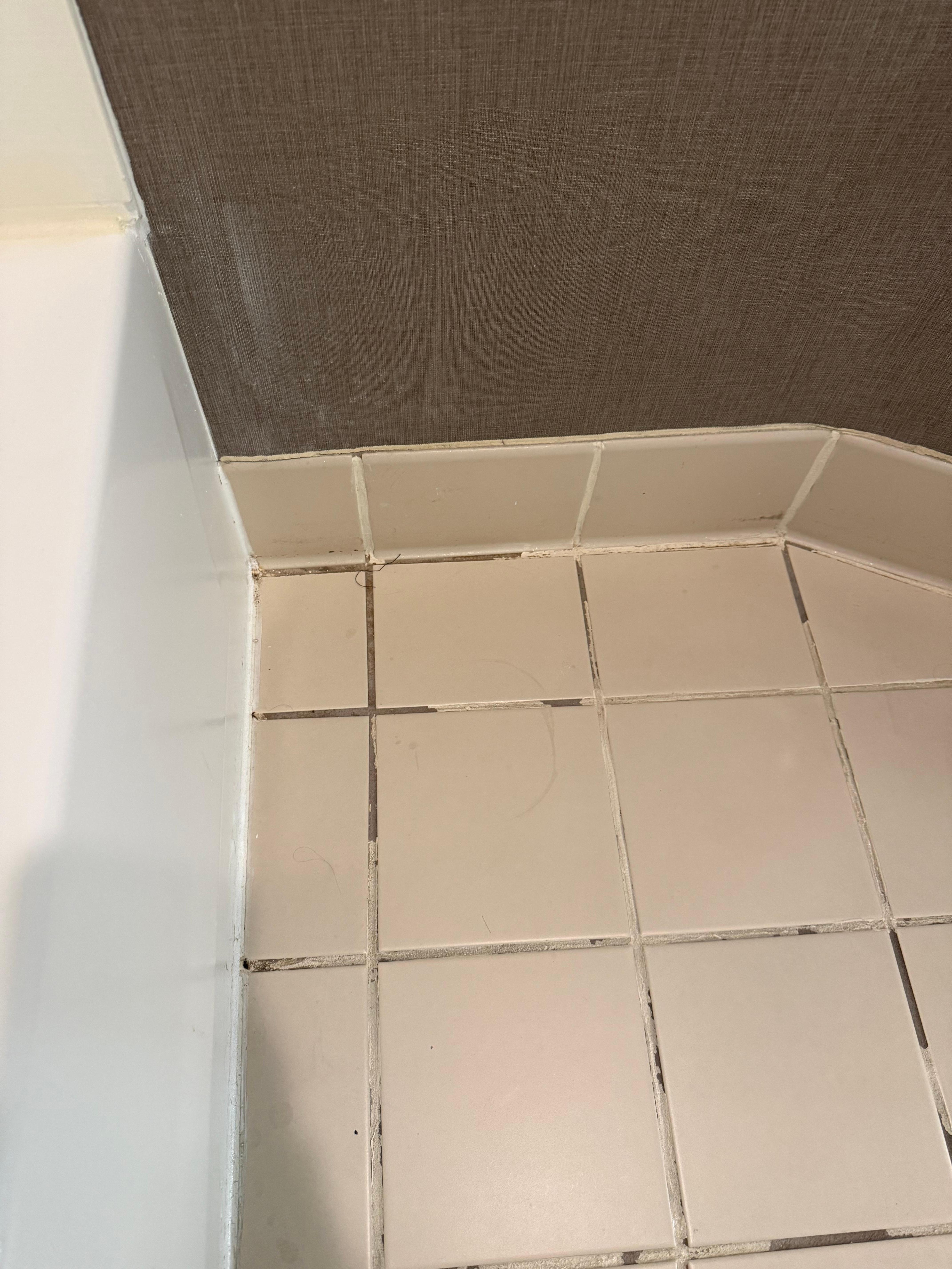 Grout issue