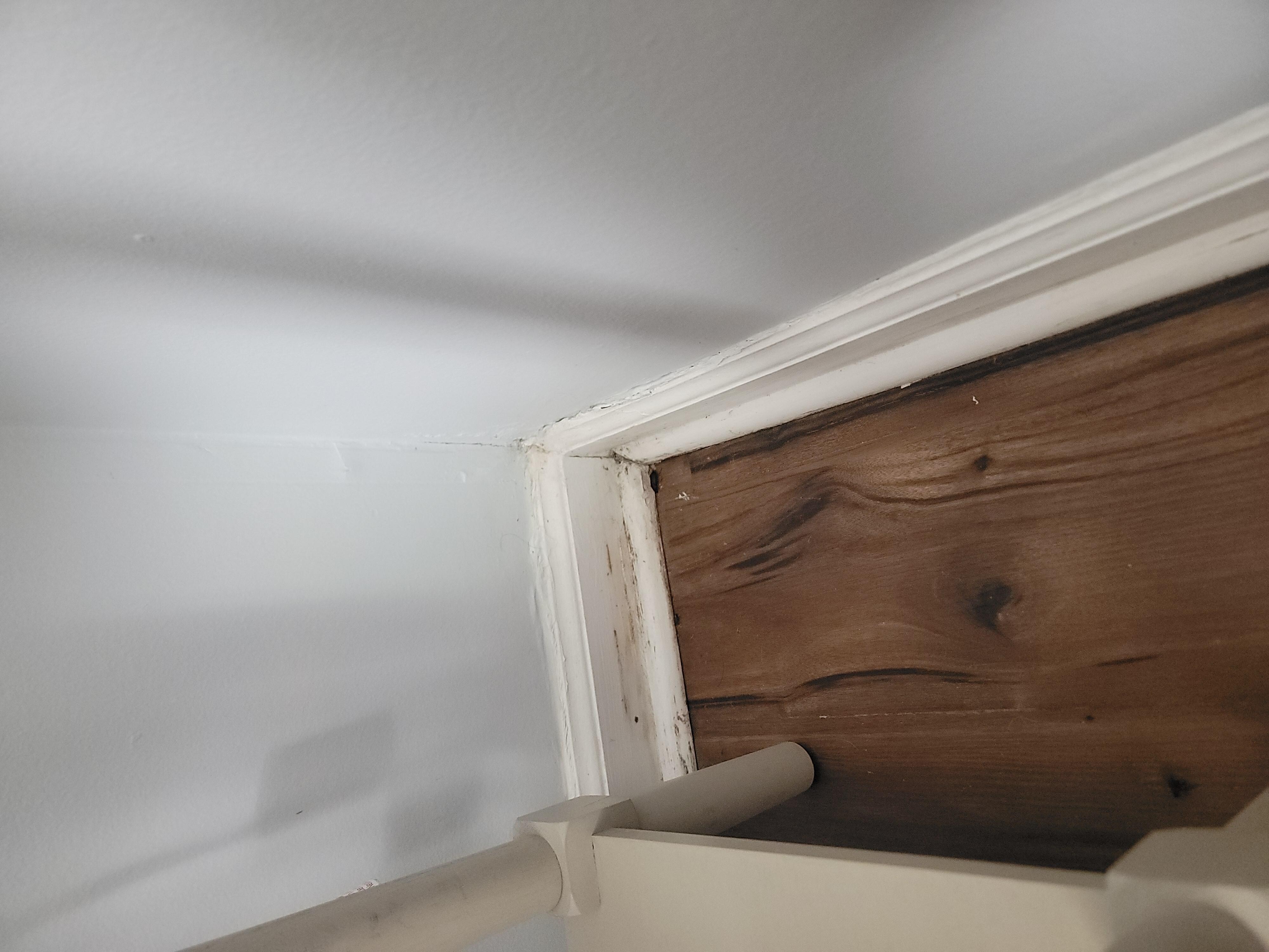 Water damage