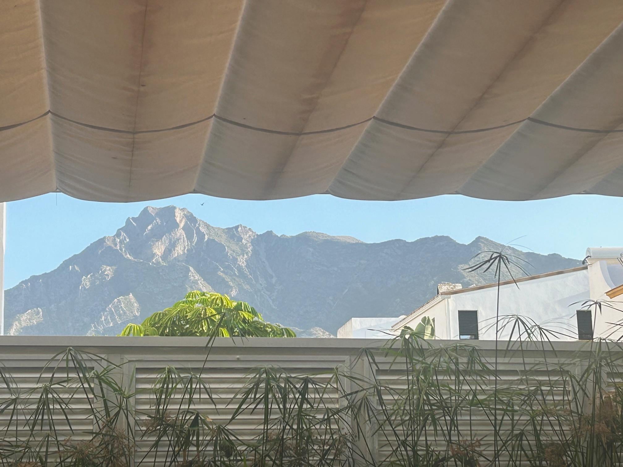 View from the back patio.