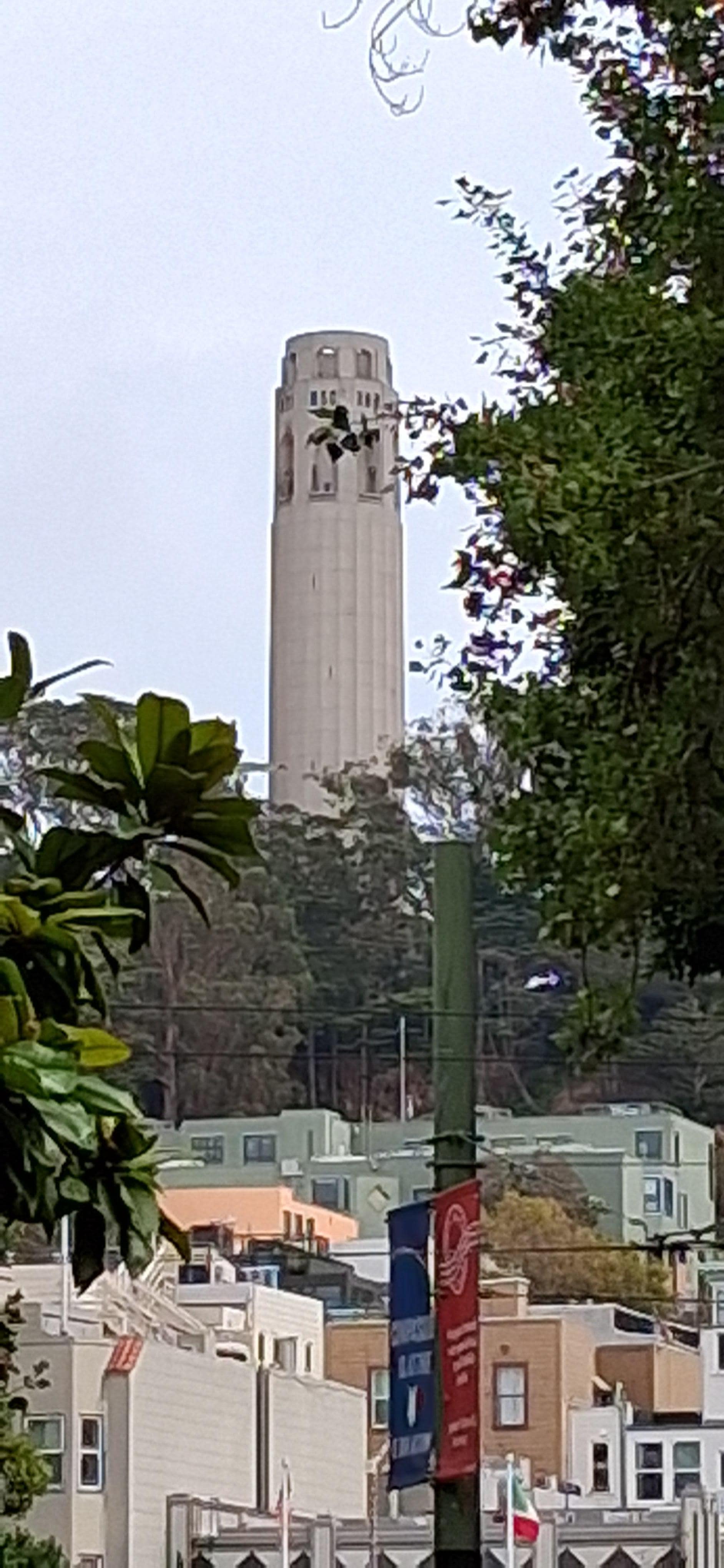 Courtesy of a grateful Madame who built Coit Tower as a thank you to the courageous Men (and women, I'm sure) who fought the fires that enveloped SF post 1906 earthquake===yes it's shaped like a penis for a reason!!