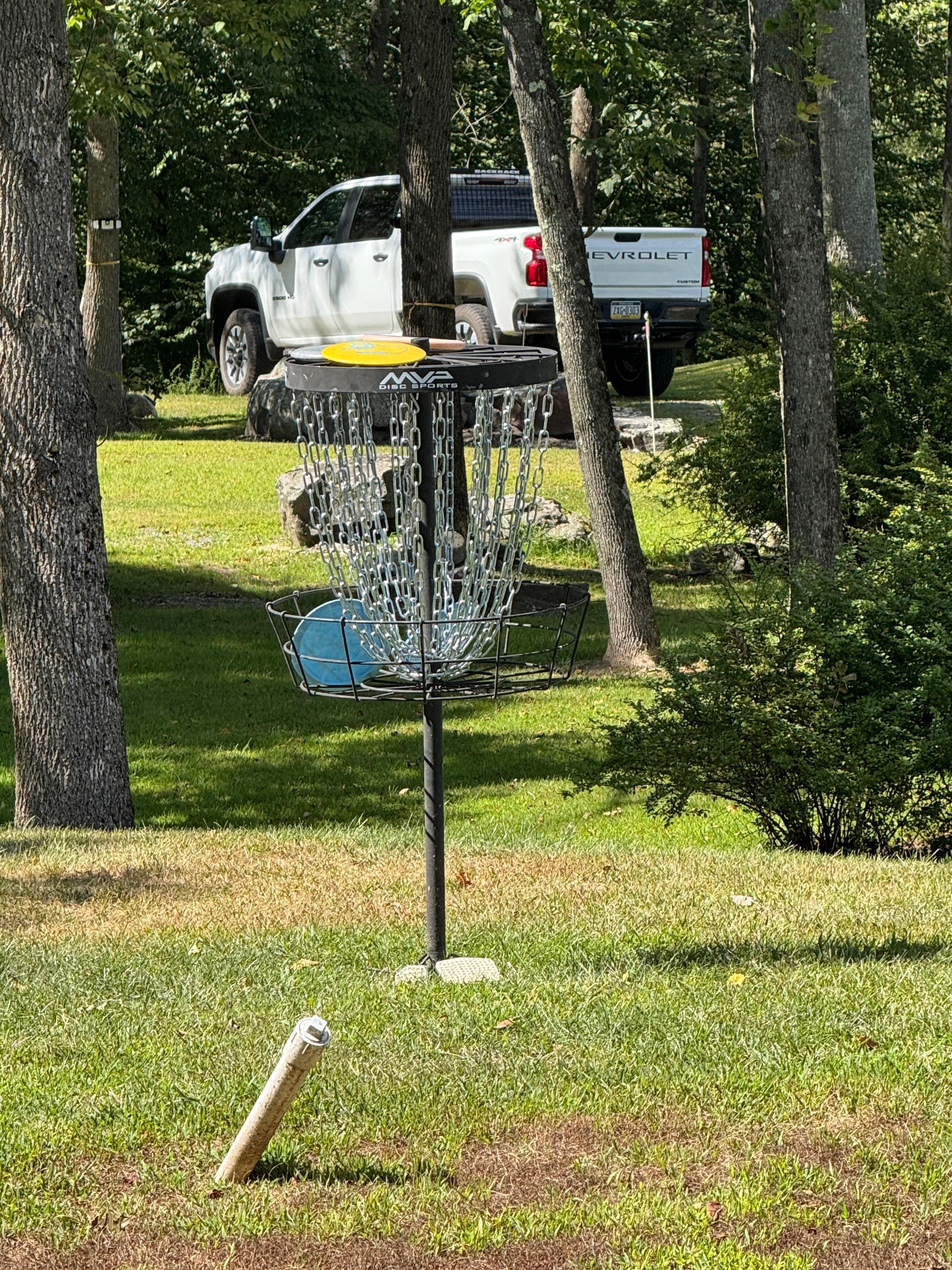 A little disc golf in the yard. 