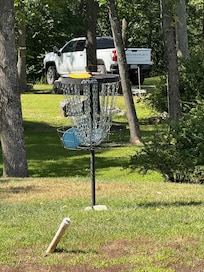 A little disc golf in the yard.