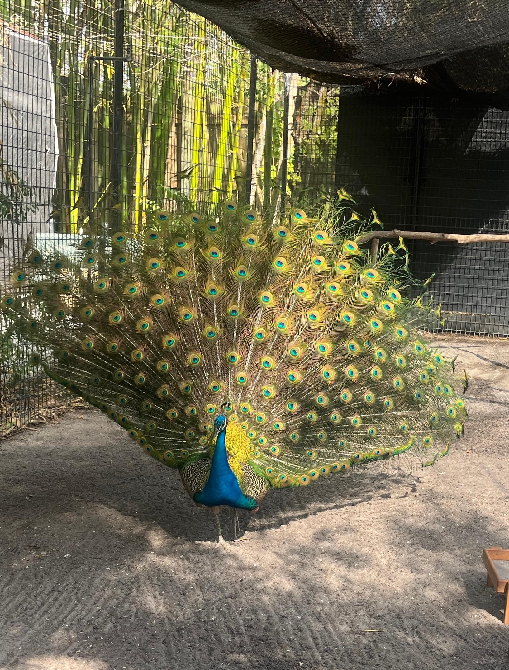 Wondergardens 
Walkable from property 