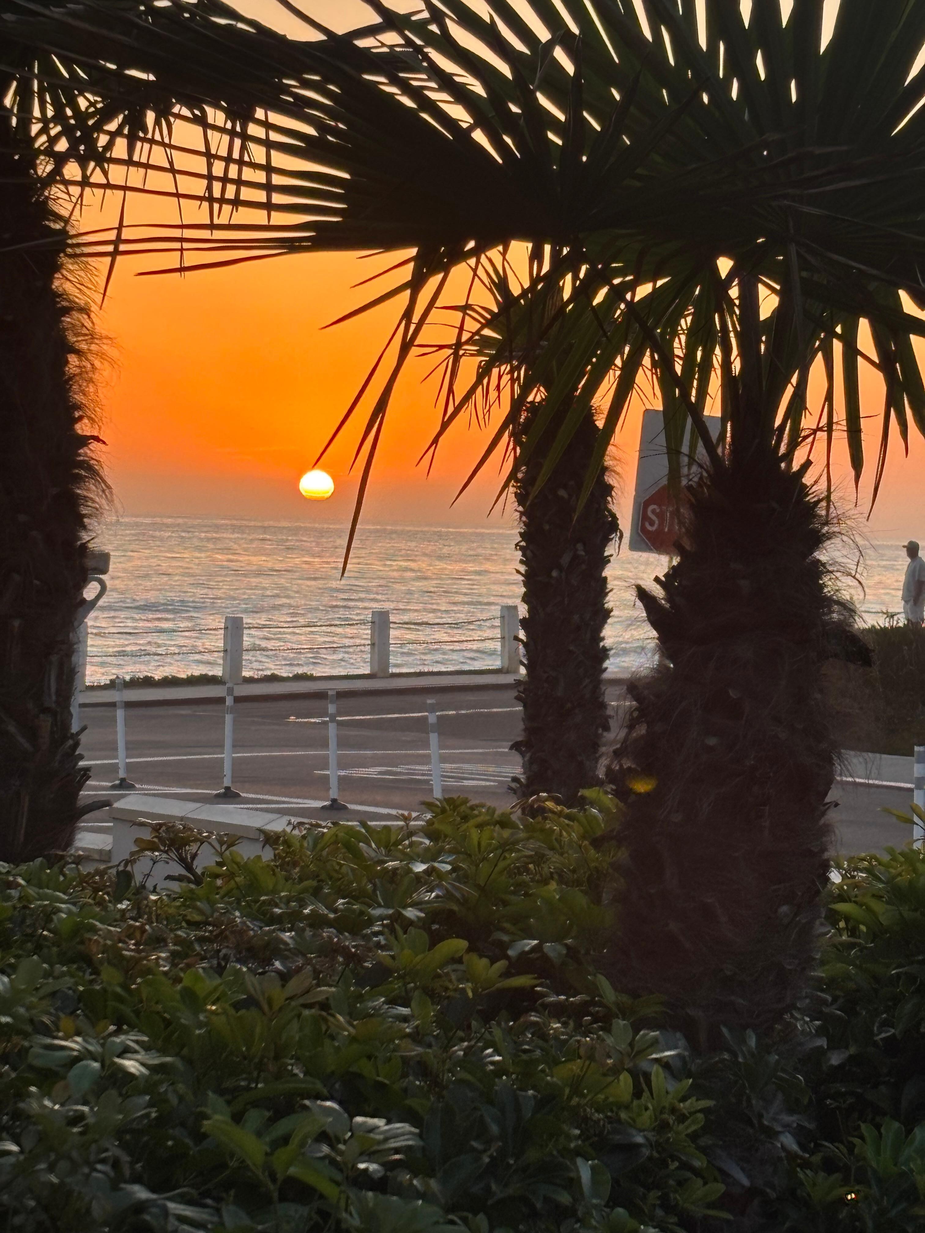  Beautiful sunset 