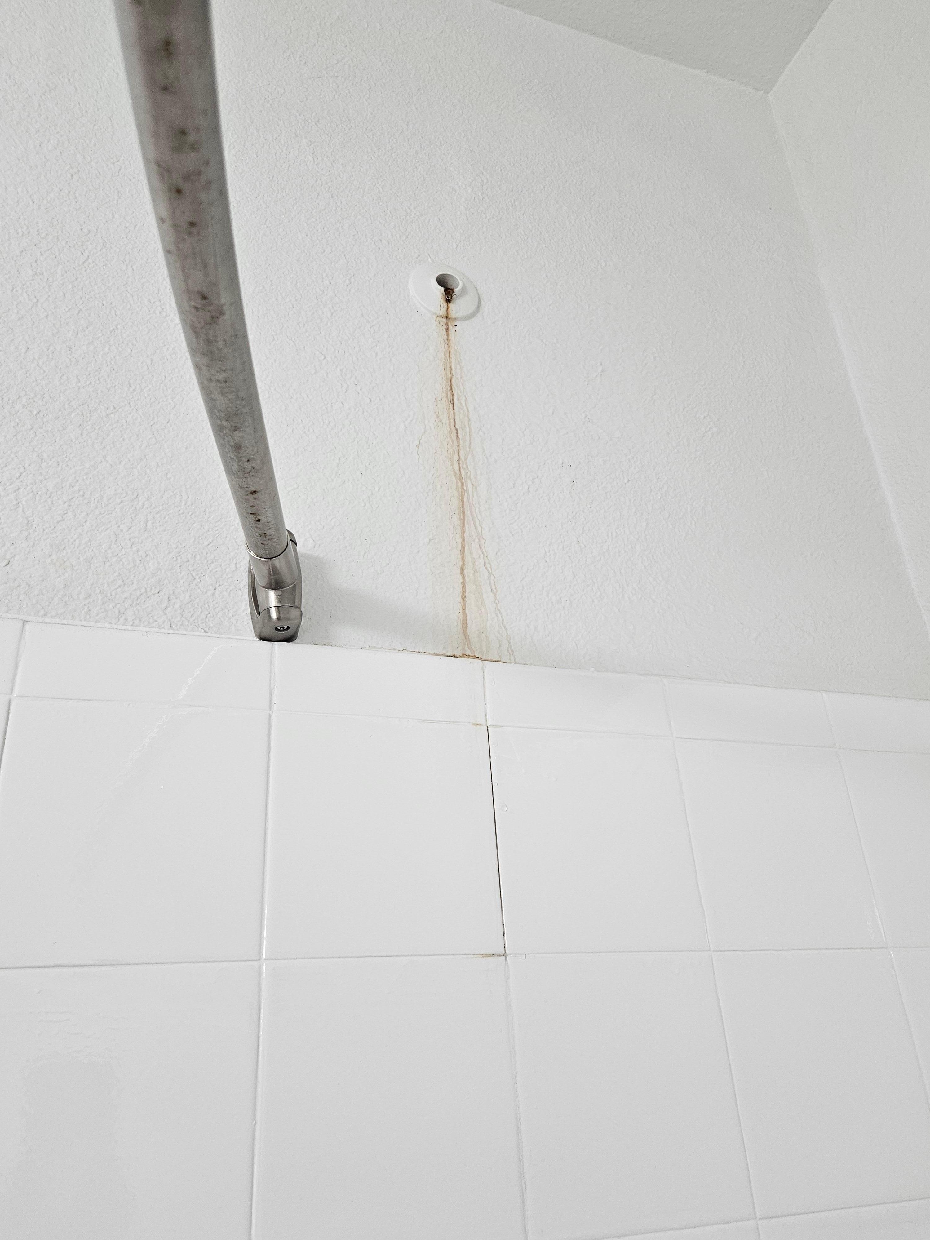 Uncapped pipe with pink mold